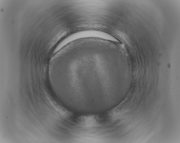 X0000088590120200706081337