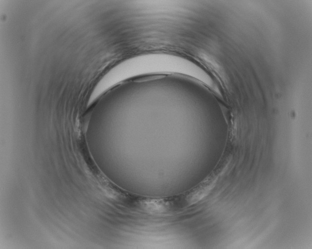 X0000088590121200706081337