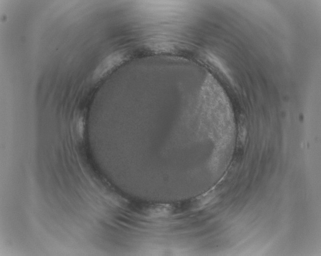 X0000088590124200706081337