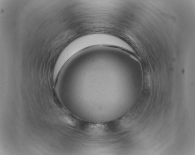 X0000088590125200706081337