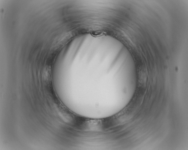 X0000088590126200706081337