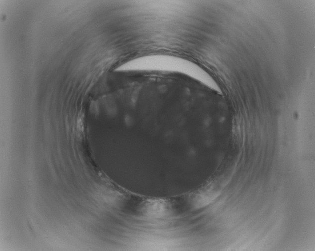 X0000088590127200706081337