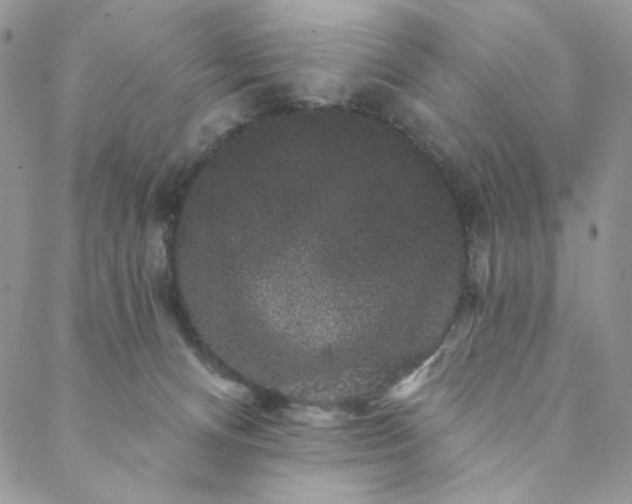 X0000088590128200706081337