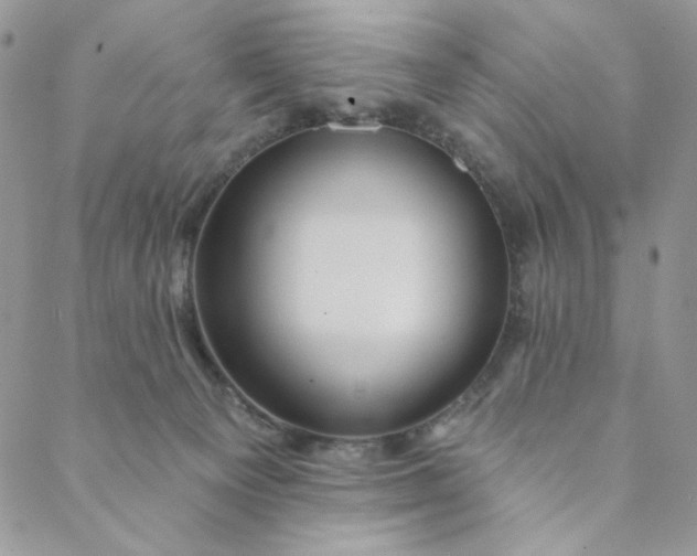 X0000088590129200706081337