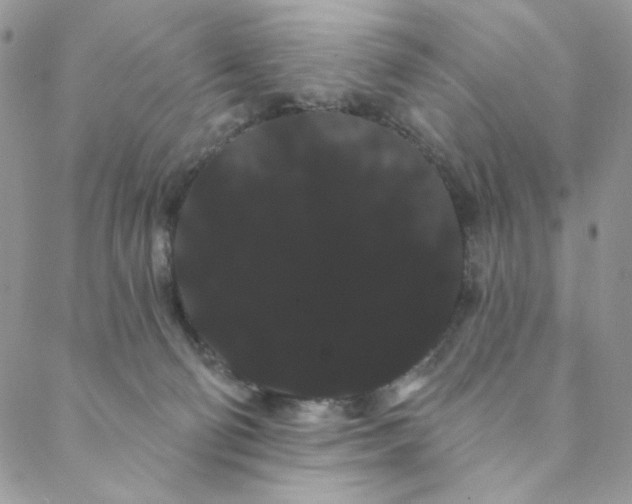 X0000088590130200706081337