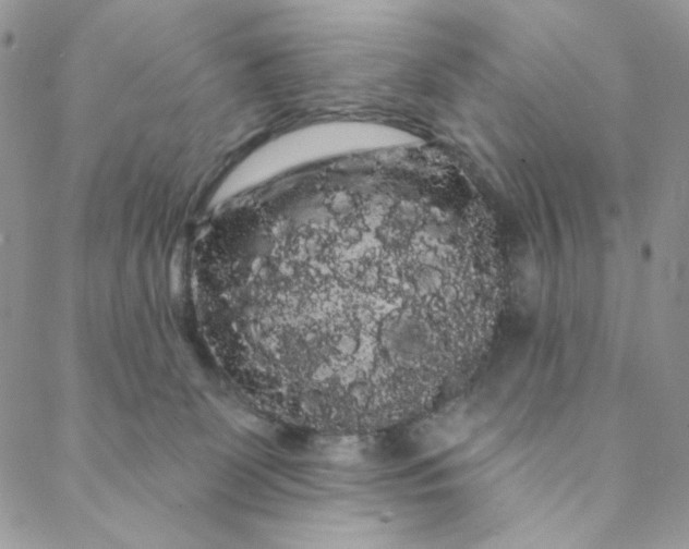 X0000088590131200706081337