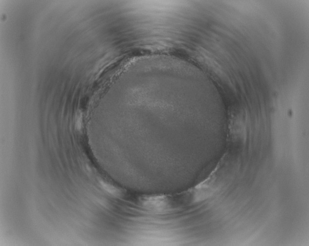 X0000088590132200706081337