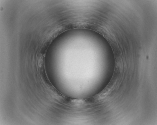 X0000088590133200706081337