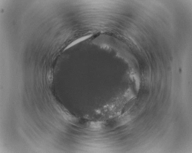 X0000088590134200706081337