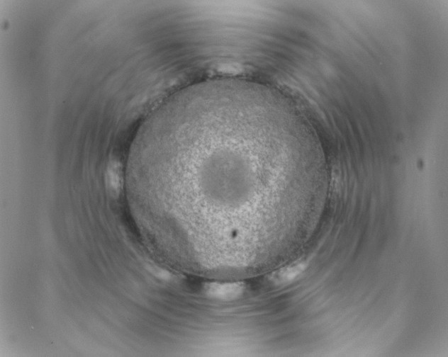 X0000088590135200706081337