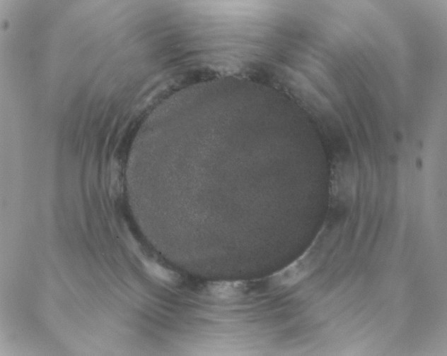 X0000088590136200706081337