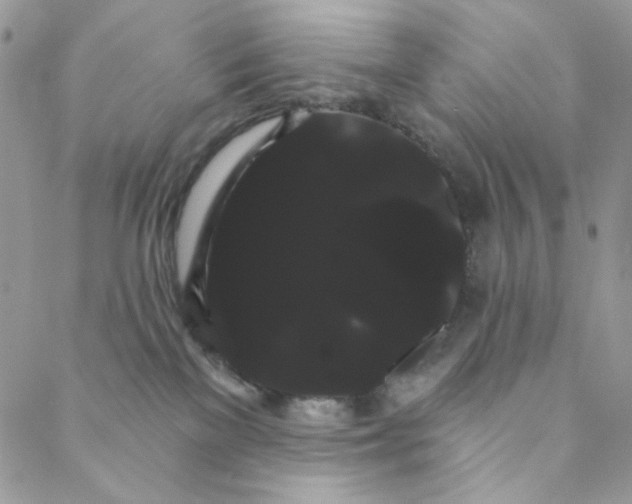 X0000088590137200706081337