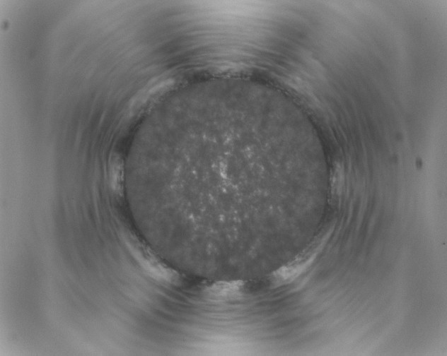 X0000088590138200706081337