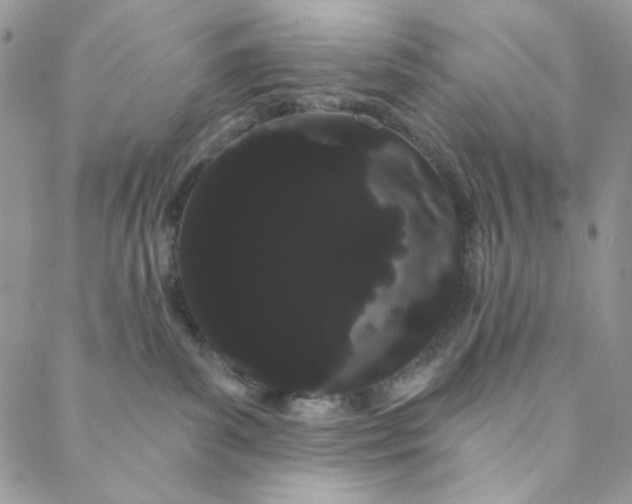 X0000088590139200706081337