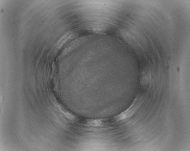 X0000088590140200706081337