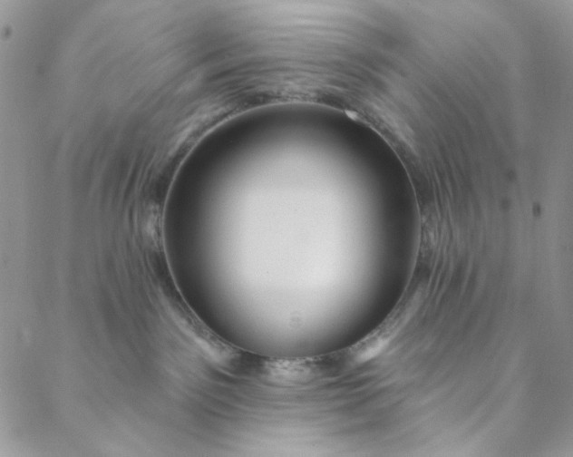 X0000088590141200706081337