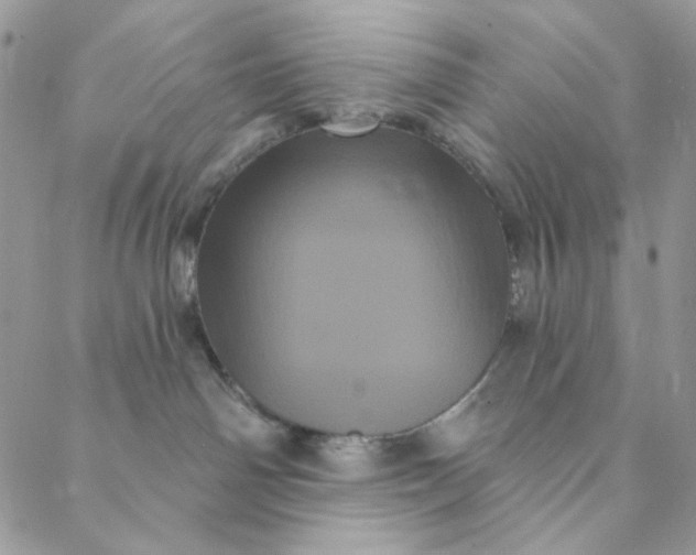 X0000088590142200706081337