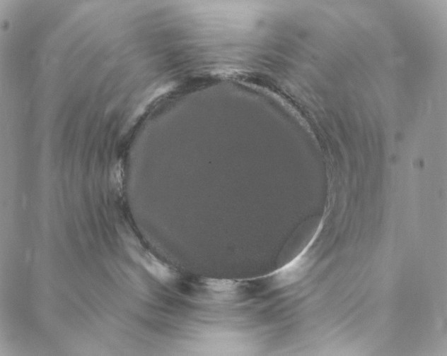 X0000088590144200706081337