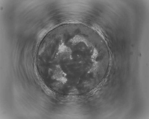 X0000088590145200706081336