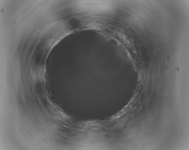 X0000088590146200706081336