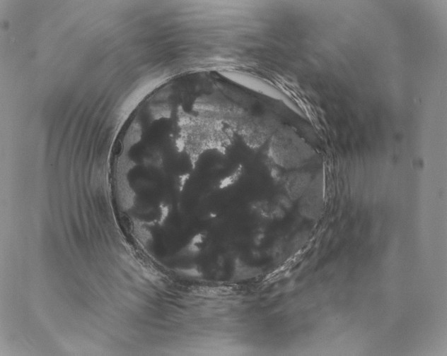 X0000088590147200706081336