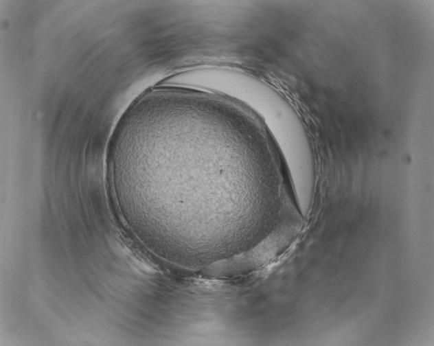 X0000088590148200706081336