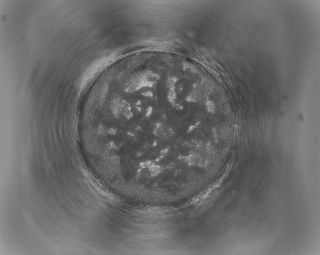 X0000088590149200706081336