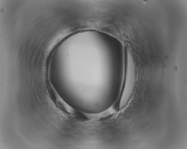 X0000088590150200706081336