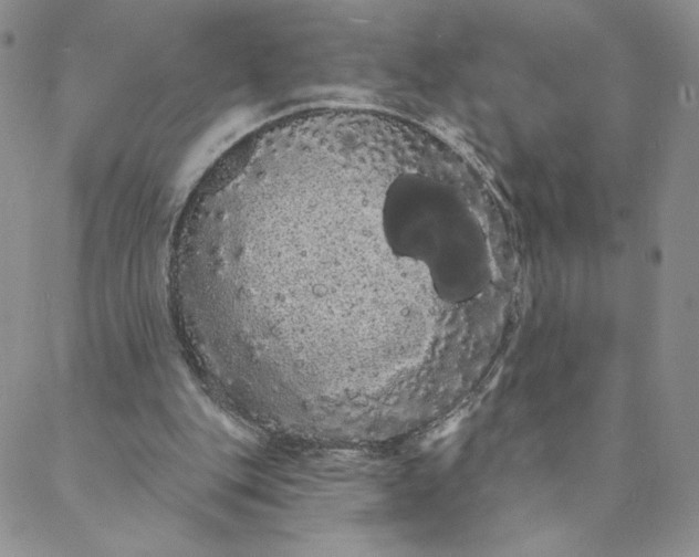 X0000088590151200706081336