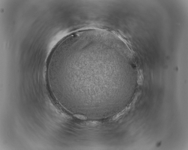 X0000088590152200706081336