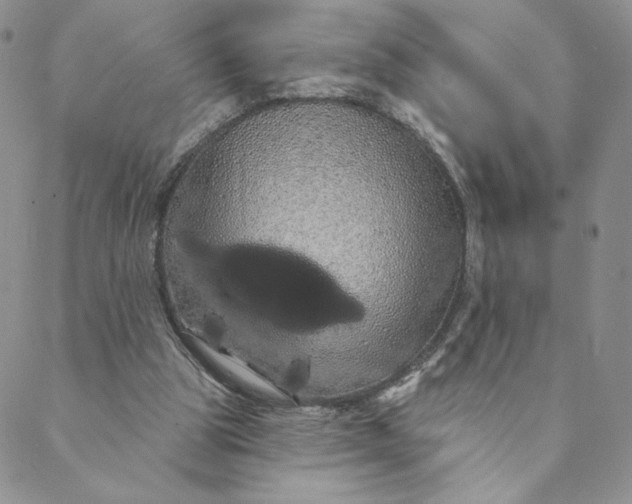 X0000088590153200706081336