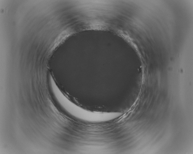 X0000088590154200706081336