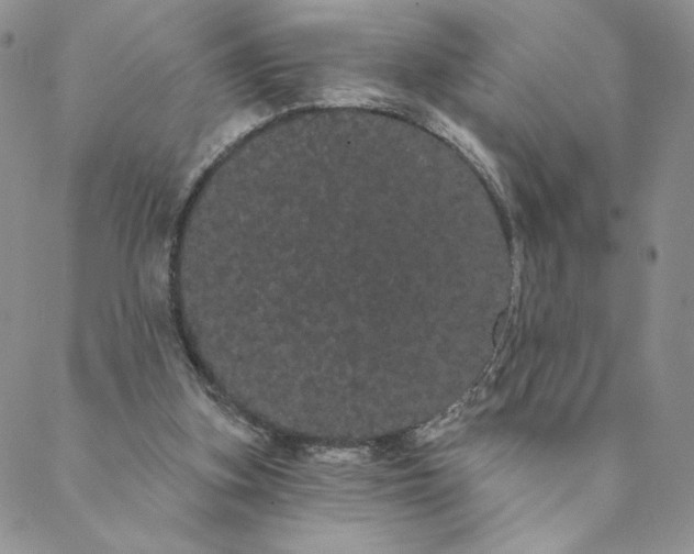 X0000088590155200706081336