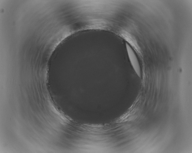 X0000088590156200706081336