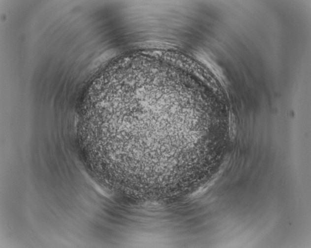 X0000088590157200706081336