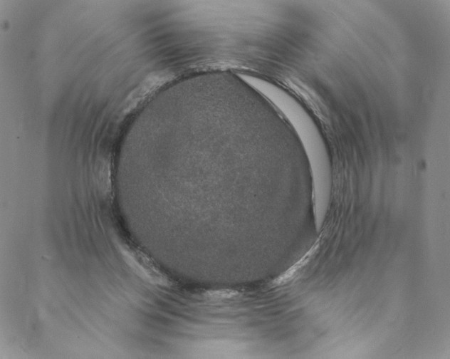 X0000088590158200706081336