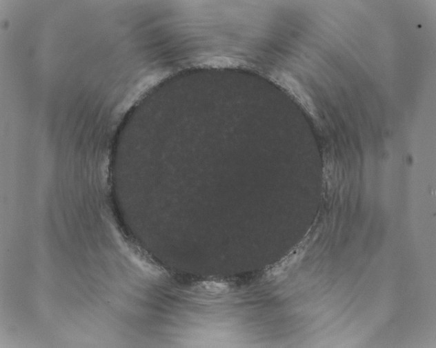 X0000088590159200706081336