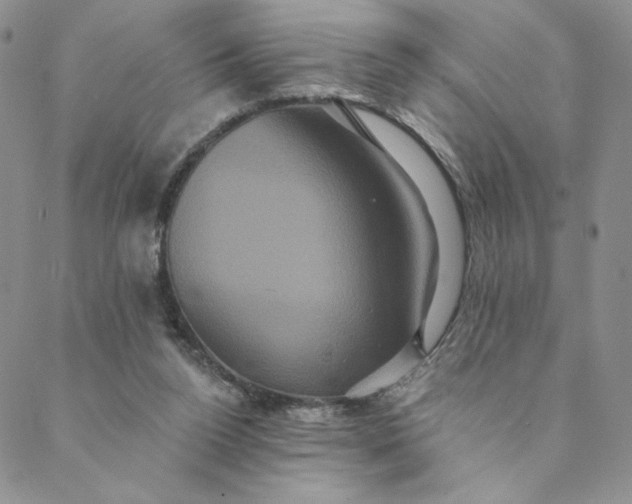 X0000088590160200706081336