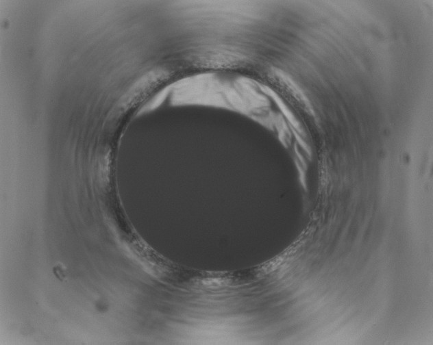 X0000088590163200706081336