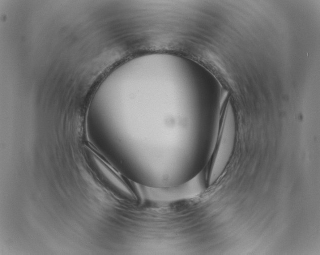 X0000088590164200706081336