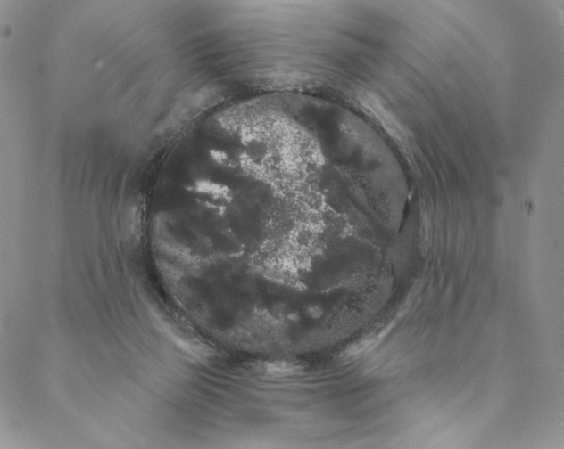 X0000088590165200706081336