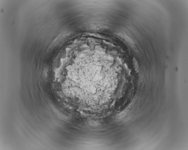 X0000088590166200706081336