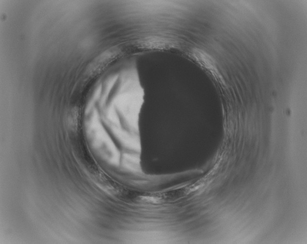 X0000088590167200706081336