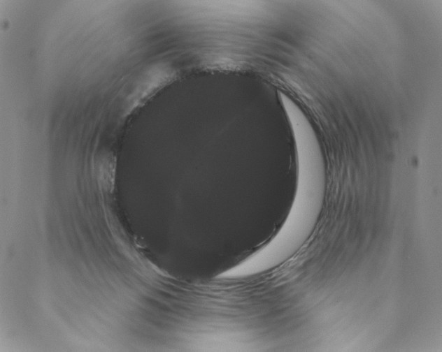 X0000088590168200706081337