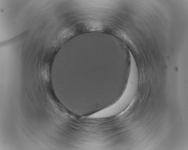 X0000088590170200706081337