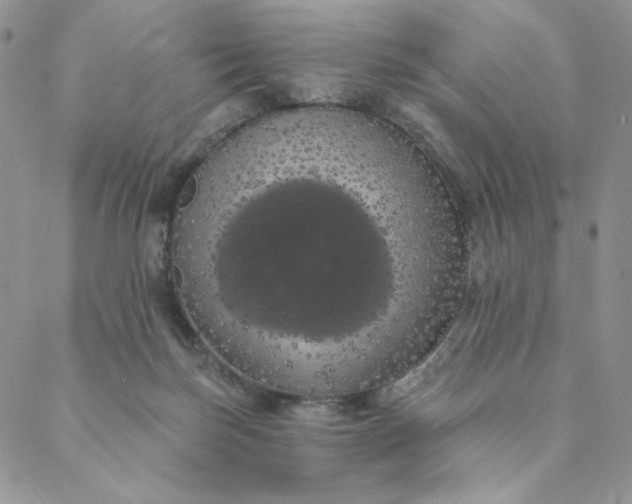 X0000088590171200706081337