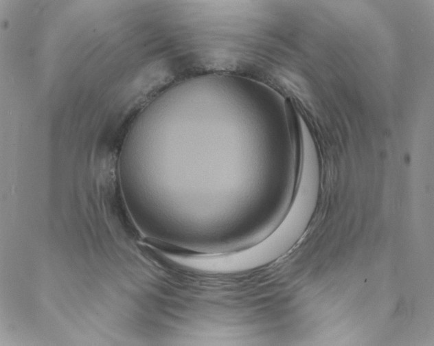 X0000088590172200706081337