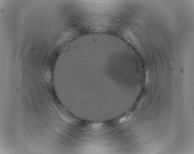 X0000088590173200706081337