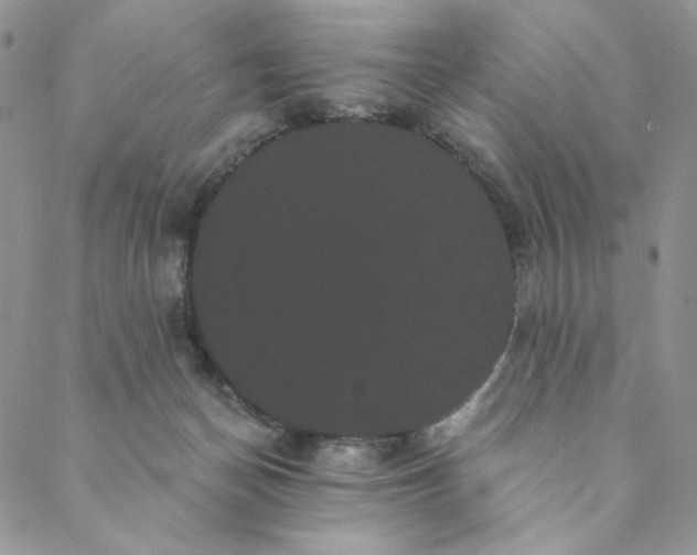 X0000088590174200706081337