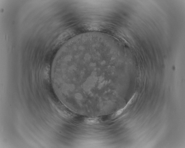 X0000088590175200706081337